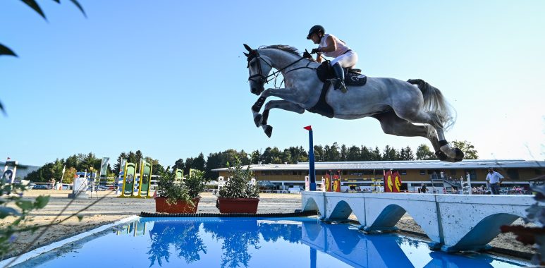 Zaključeno Državno prvenstvo za mlade konje in Pokal Slovenije 2024 – ŠD KC Celje, Foto, CalistoM, Marko Vitas