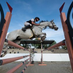 CSN Lipica, April 2026, Foto: Marko Vitas, CalistoM