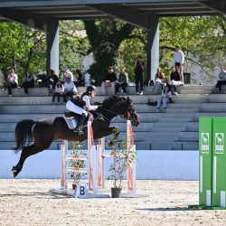 CSN Lipica, April 2026, Foto: Marko Vitas, CalistoM