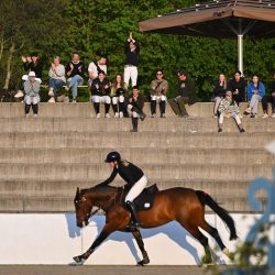 CSN Lipica, April 2026, Foto: Marko Vitas, CalistoM